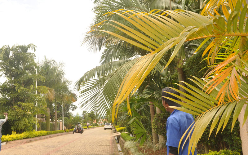 Unfurnished Renting House AT Kinyinya #2