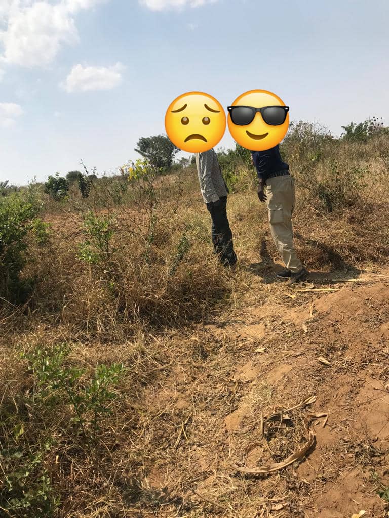 Cheapest Agriculture FARM Land Almost 1 hectare in Bugesera 2022
