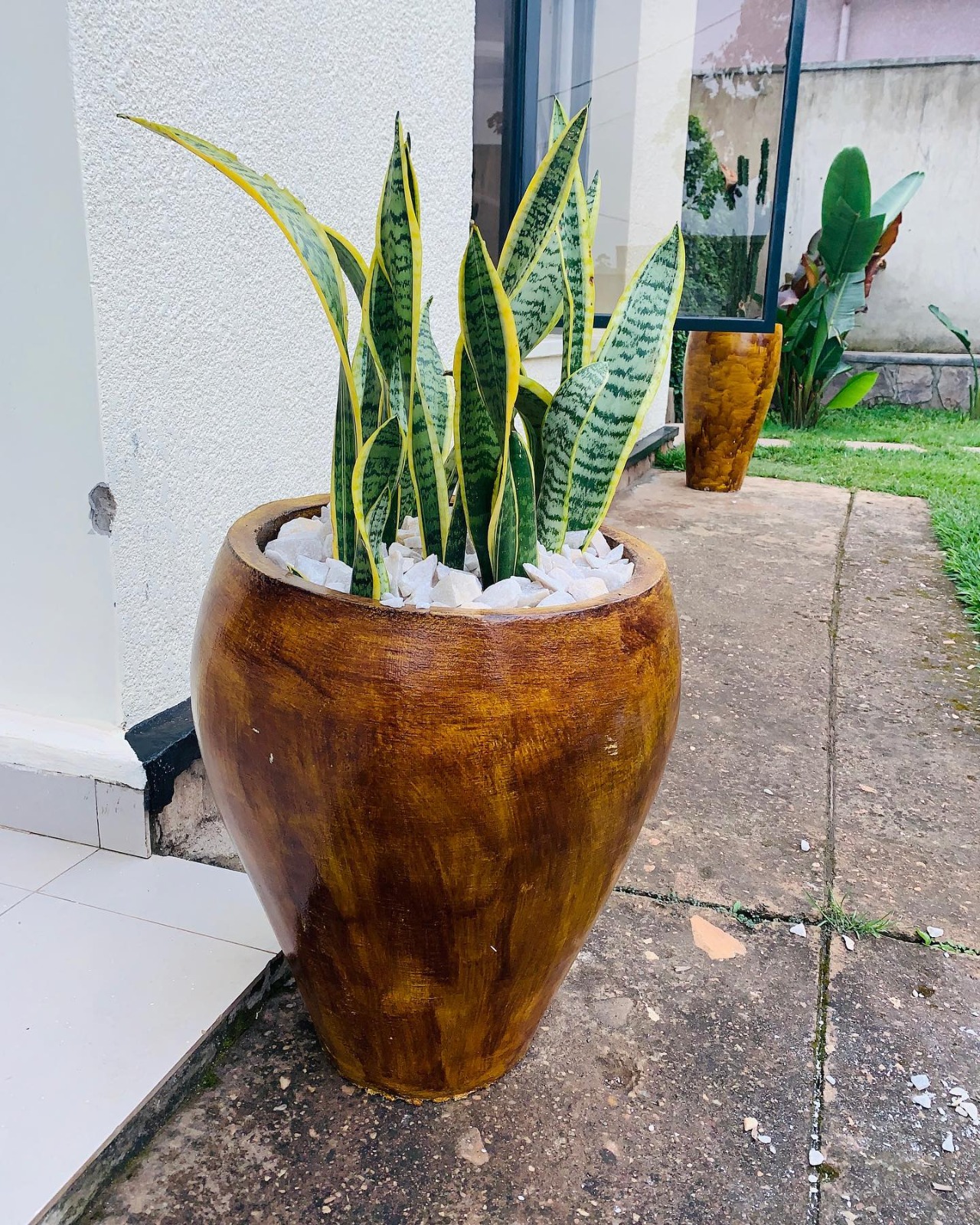 vase nziza