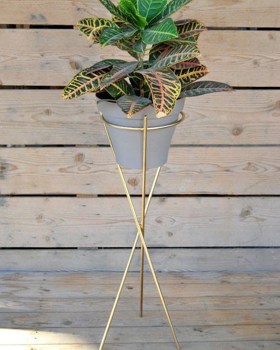 vase nziza