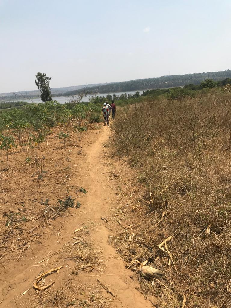 Isambu igurishwa mubugesera ingana na hegitari iburaho gato kuri makeya muri uyu muwaka 2022