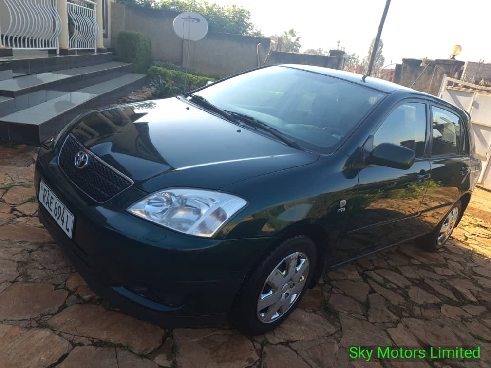 Rava 4 model 2006 