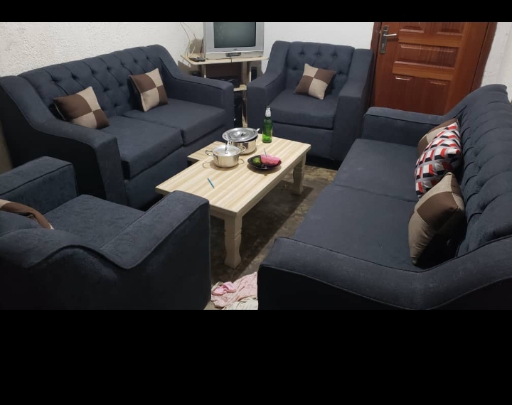 Elegant Couch both stylish and comfortable Sofa with Sophisticated and highly customizable on a cheap price