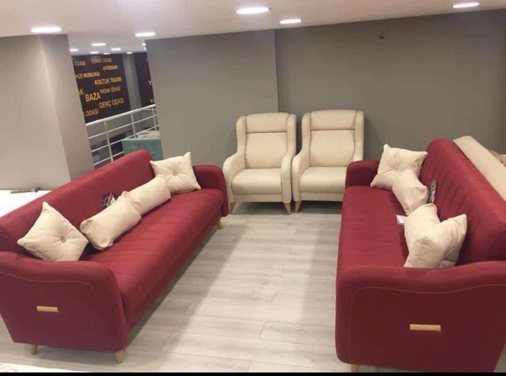 Elegant Couch both stylish and comfortable Sofa with Sophisticated and highly customizable on a cheap price