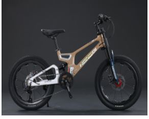 BD-1 customize