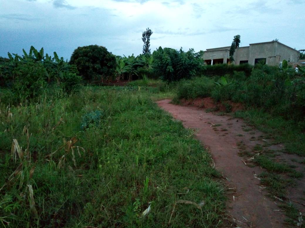 PLOT